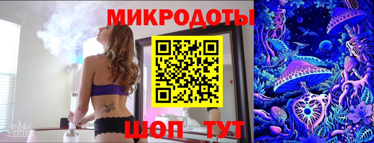 Заводоуковск  Галлюциногенные грибы Psilocybe  Вход с VPN 